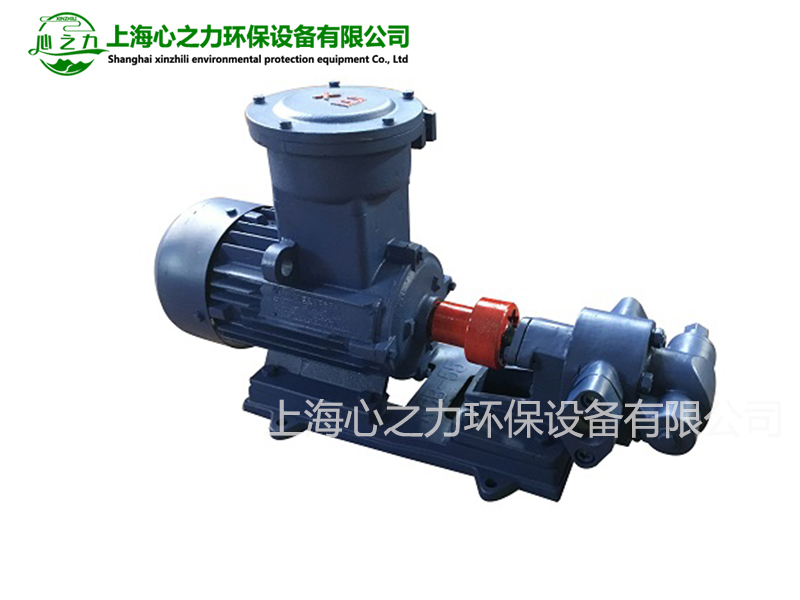 萬沖鎮2CY齒輪油泵